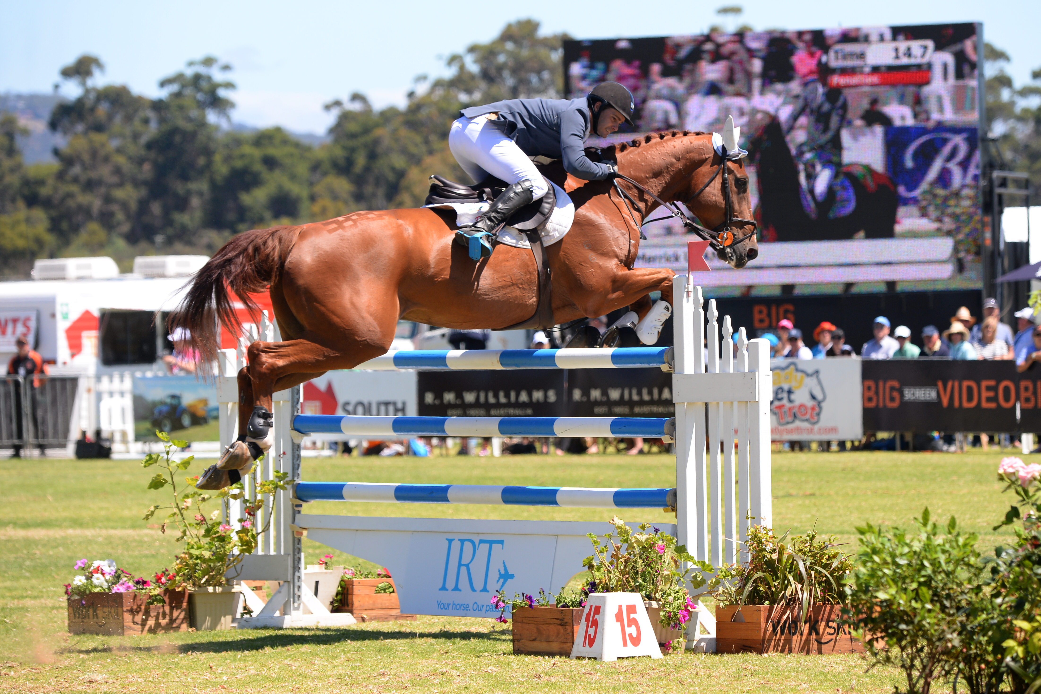 Queenslanders Succeed in Adelaide Equestrian Queensland
